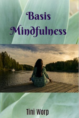 Basis Mindfulness, de beginselen om mindful door het leven te gaan