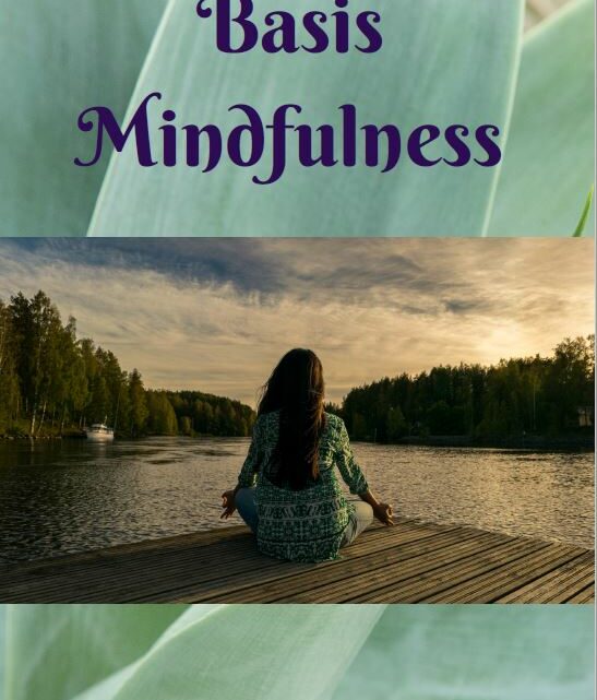 Basis Mindfulness, de beginselen om mindful door het leven te gaan