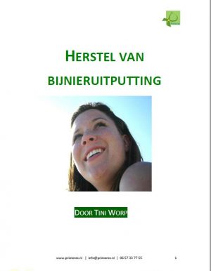 E-book 'Herstellen van bijnieruitputting', weg met restverschijnselen van burn-out