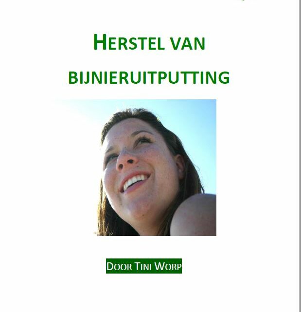 E-book ‘Herstellen van bijnieruitputting’, weg met restverschijnselen van burn-out